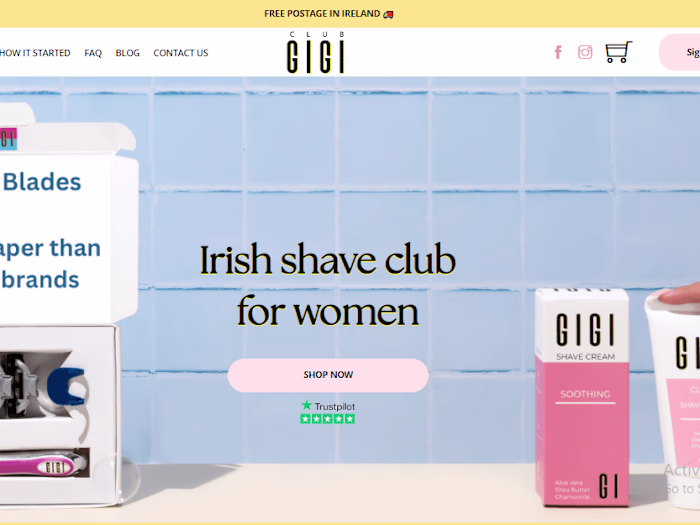 WordPress Website