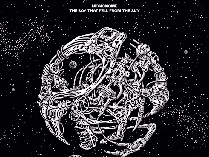 The Boy That Fell From The Sky, by Mononome