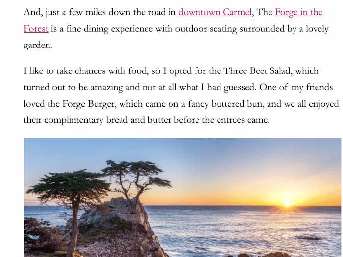Guest Writer (Travel Blog)