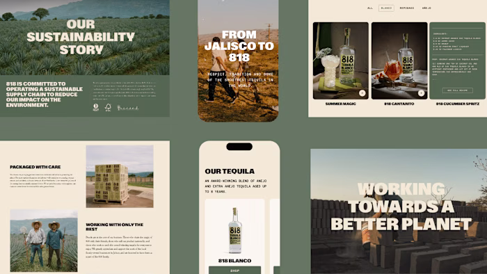Shopify Web Design for Award wining Tequila Brand