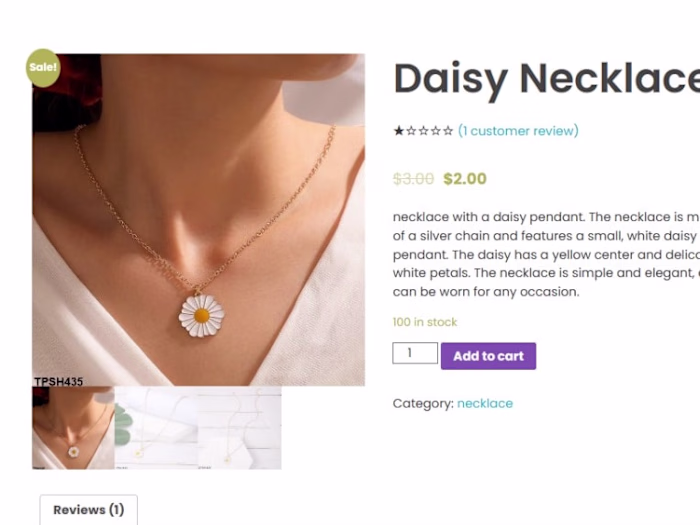 Affiliate website