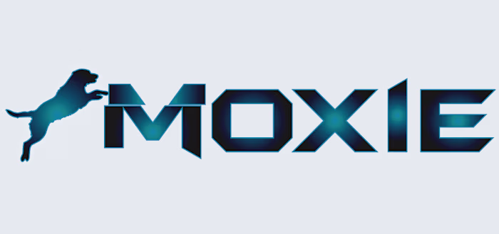 Logo Rebranding for  Company