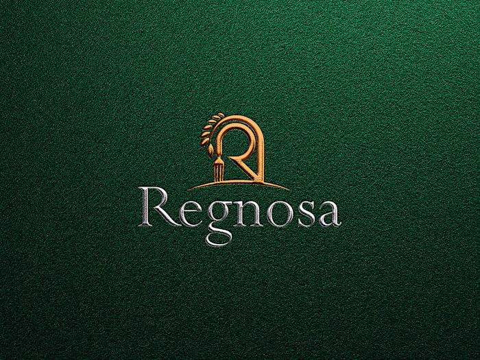 Regnosa Brand Identity