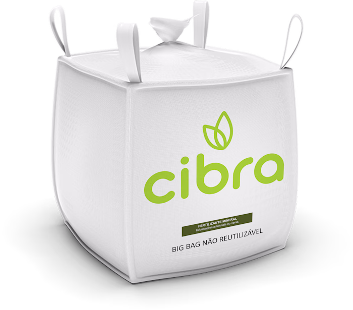My work at Cibra Fertilizers