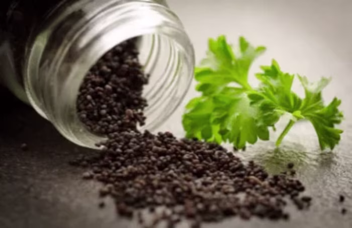 Health & Wellness Content Writing