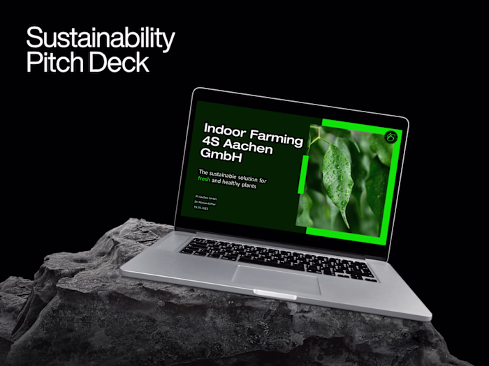 Powerpoint Pitch Deck Creation