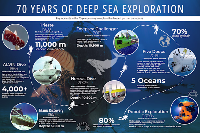An educational infographic about the