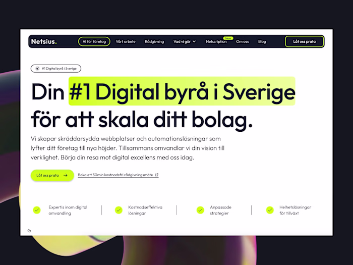 Netsius (Branding + CMS Website + Automations)