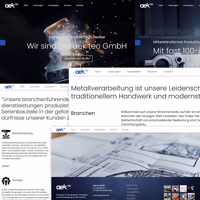 aek Tec / Wordpress Website