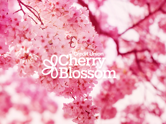 The Cherry Blossom 10-Mile Race