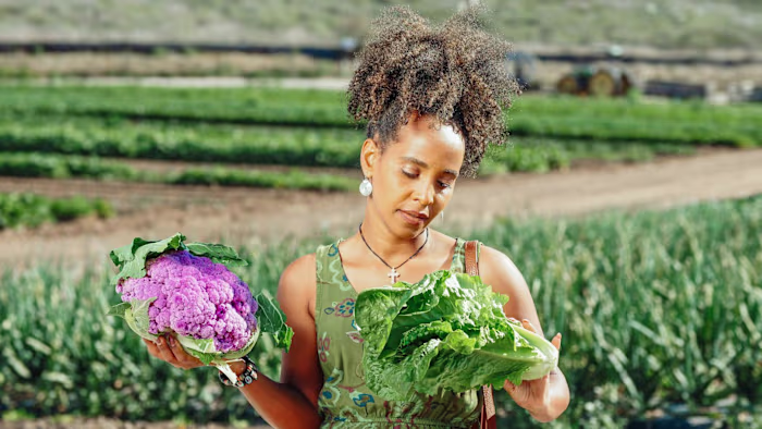 Compilation of Black and Indigenous-led Collectives