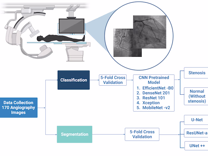 170 Angiograph images classification & segmentation illustration