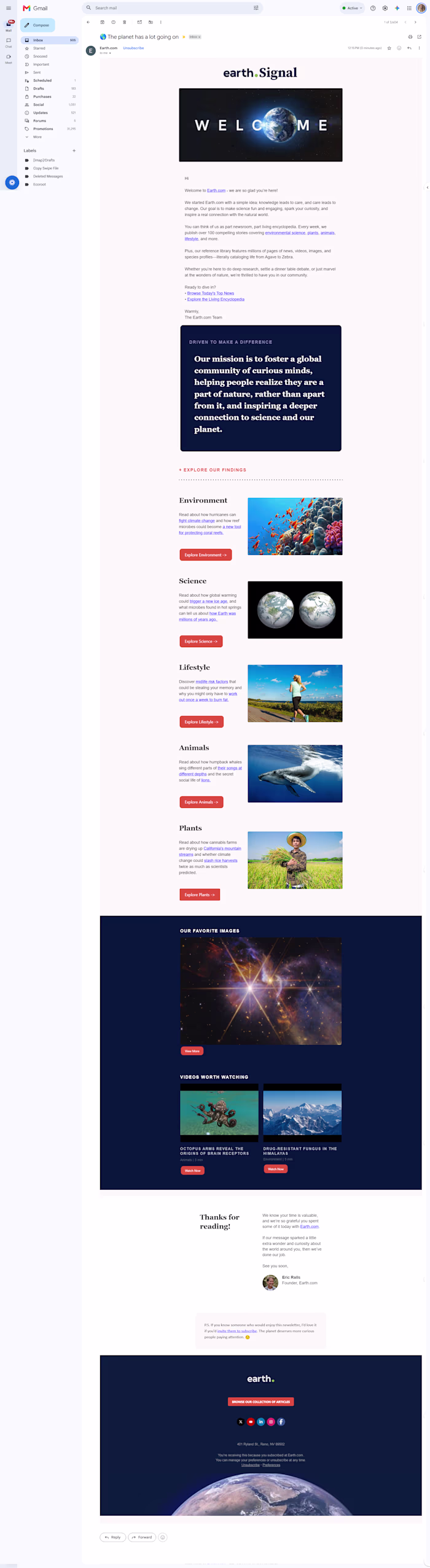Newsletter Build, Content Creation & Management