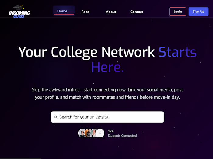 University Networking Platform Development