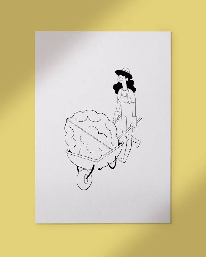 Nouca Illustrations