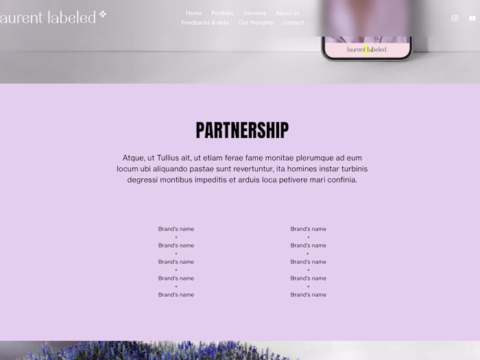 ✦ WEBDESIGN ✦
