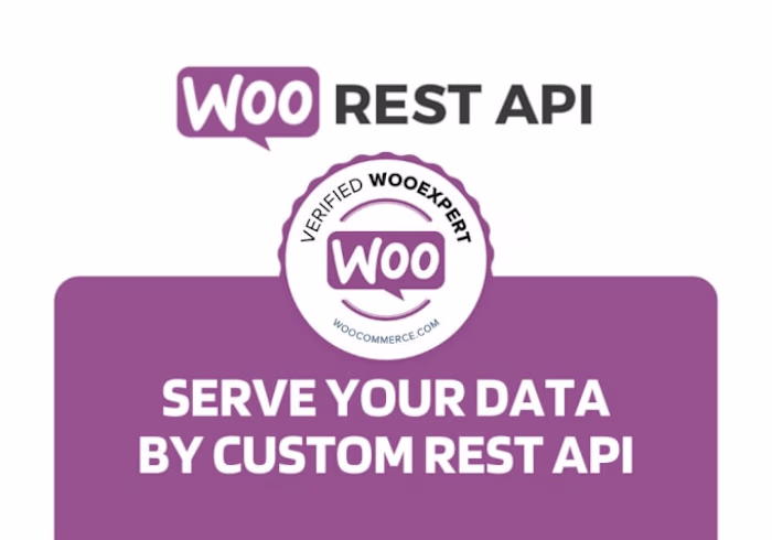 Professional API integration service for woocommrce