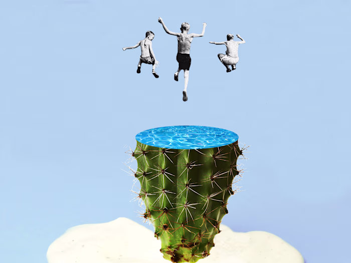 Irony in Fun - Selection of Images