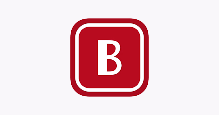 BAYSTEN Mobile Platform Development