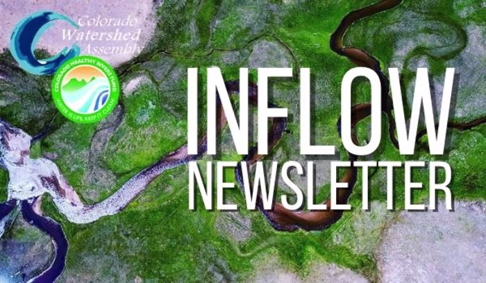 Newsletters