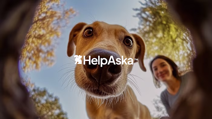 HelpAska Logo Design
