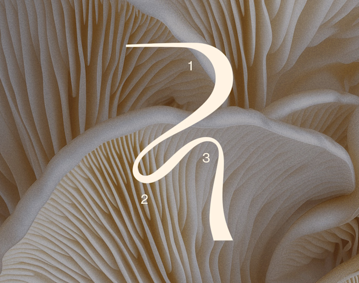 INSPIRO / Brand Identity