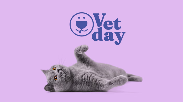Vetday — Veterinary Brand Identity