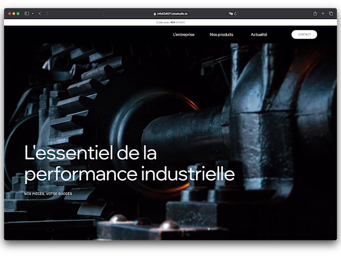 Rebranding Rodi SA
