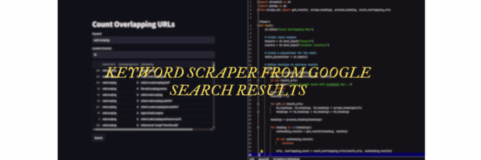 Developed a Python-based Google search