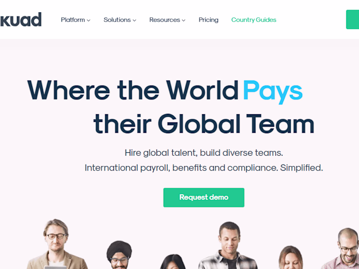 User Interface Design Consultant