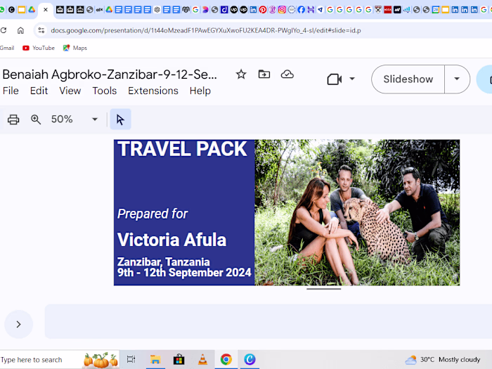 Comprehensive Travel Itinerary Planning for Zanzibar Trip