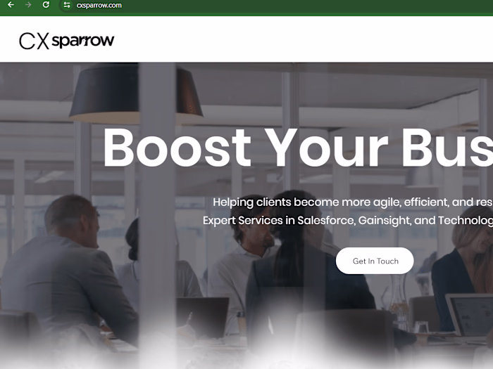 CX Sparrow: Salesforce & Gainsight Services l Business Solutions
