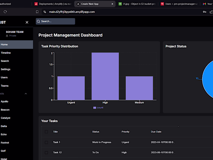Project manager 