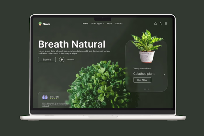 Real estate website design