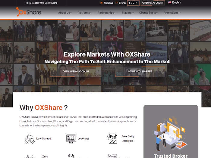 Forex Website Development