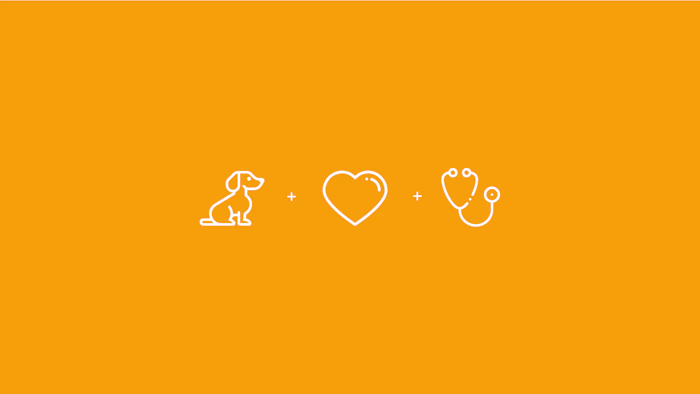 Veterinary Clinic Brand Visual Identity