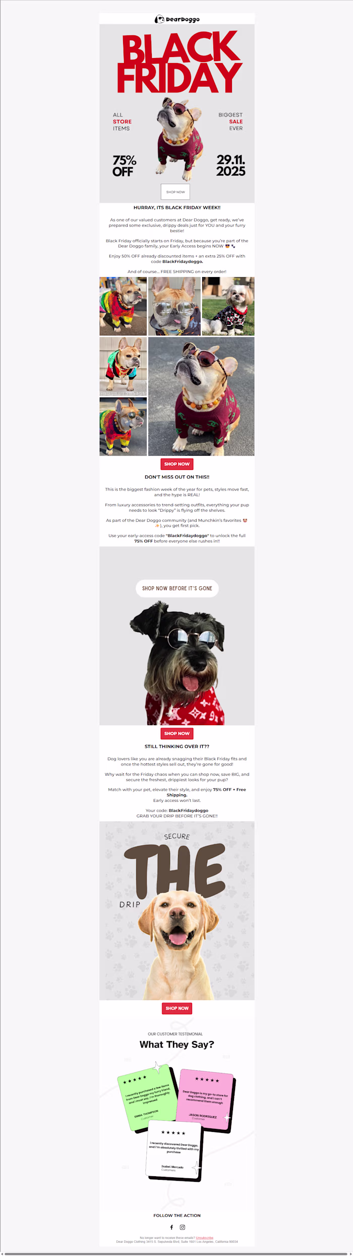 Black Friday Email Campaign for