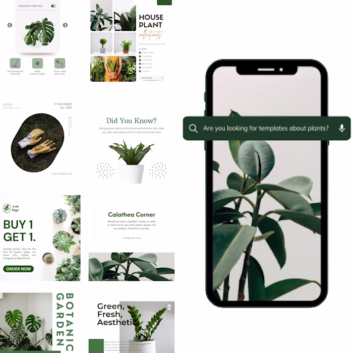 Social Media Content House Plant