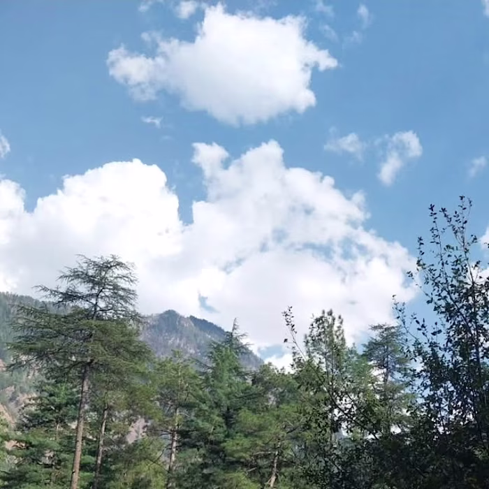 Color Grading That Tells a Story…