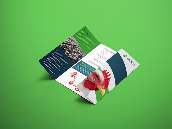 Get Folded Brochure design.