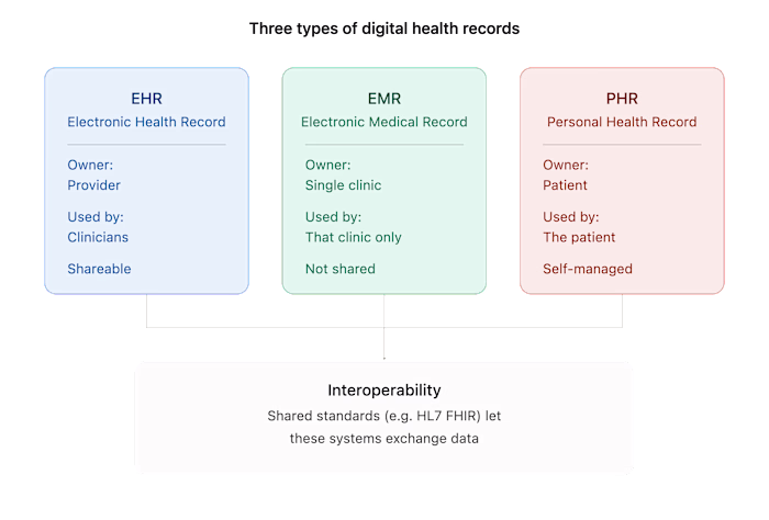 A visual breakdown of the