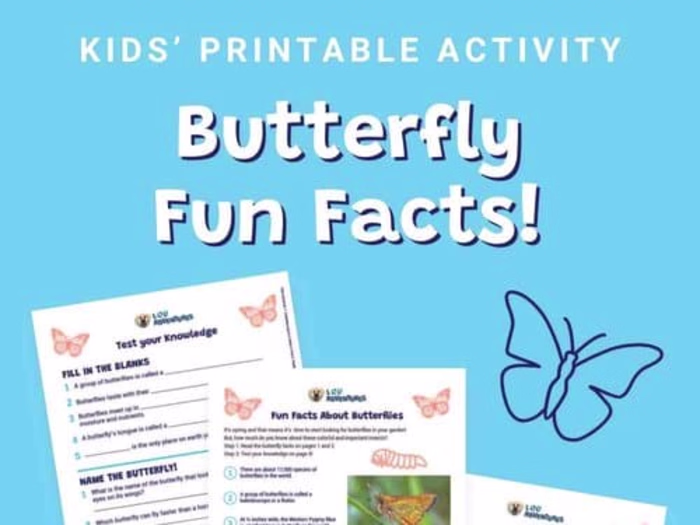 Kids Printable Activities Lou Adventures