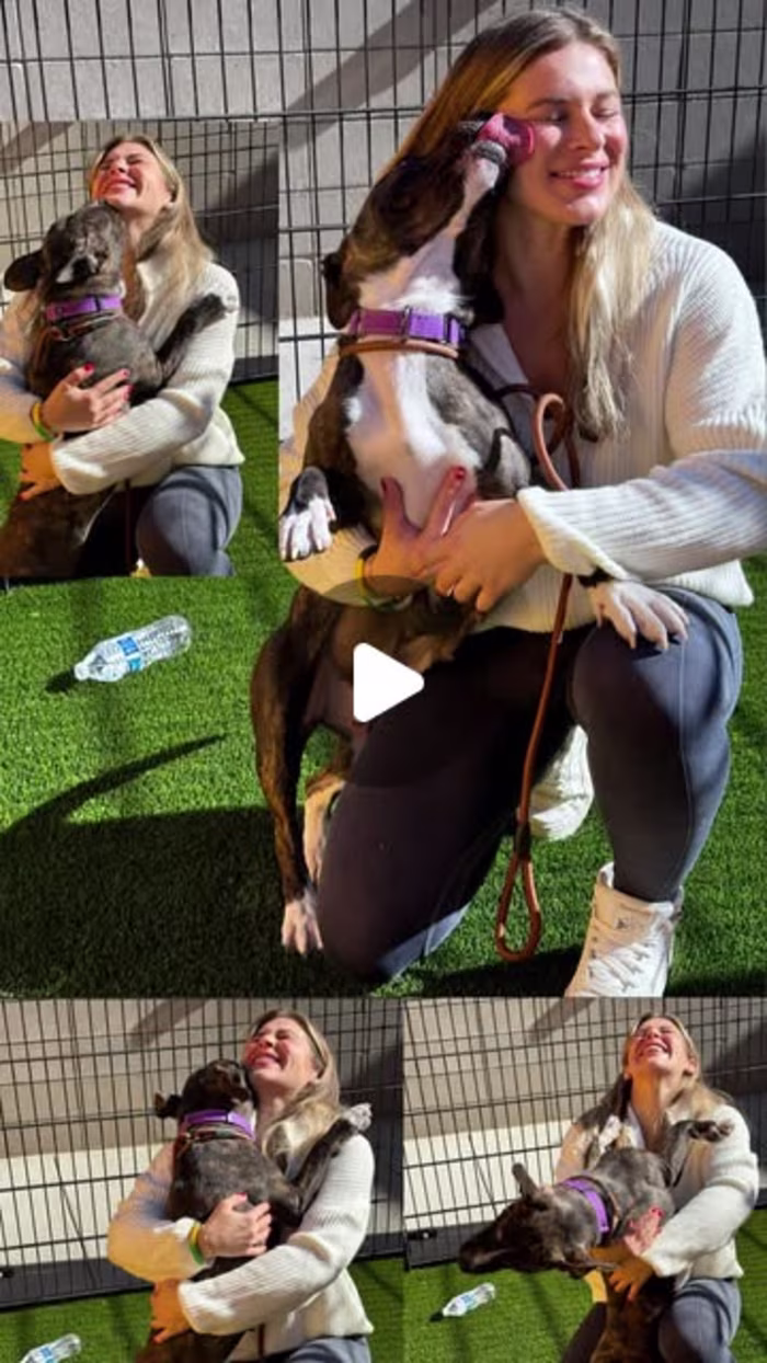 Heartfelt Dog Shelter Experience