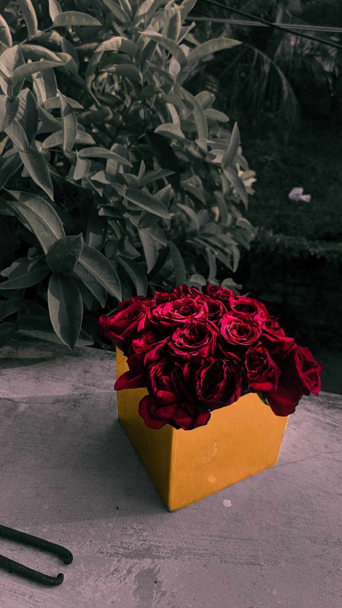 Roses