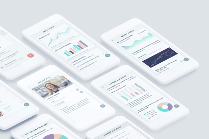 Reporting App Template for Fliplet