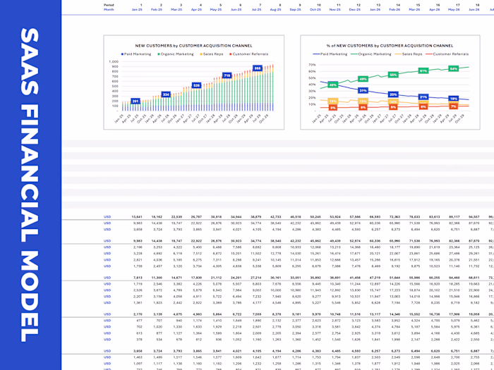 Custom-Made SaaS Financial Model