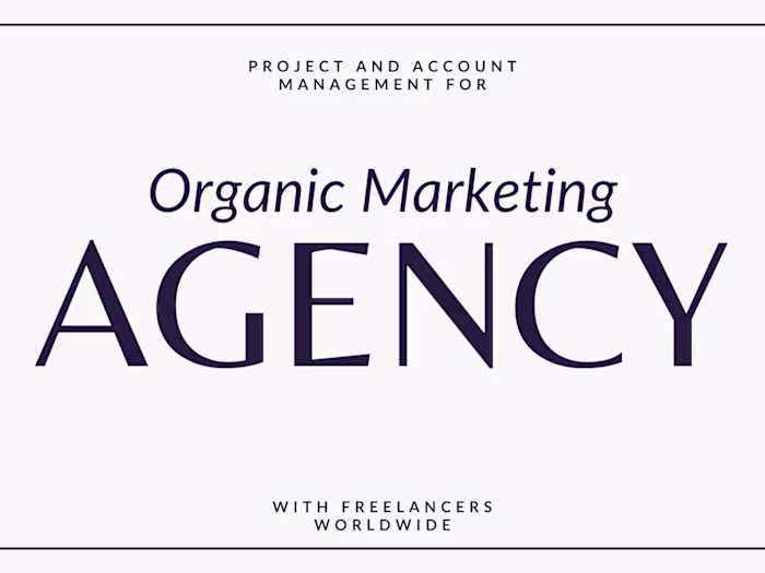 Lead Project Manager for Marketing Agency