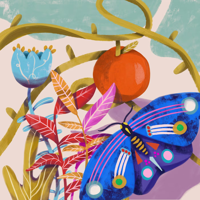 Backyard Vines | Illustration