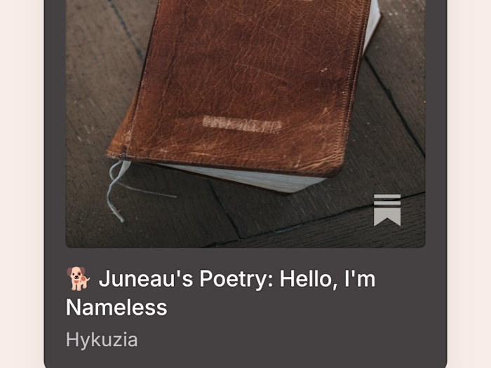 🐕 Juneau's Poetry: Hello, I'm Nameless