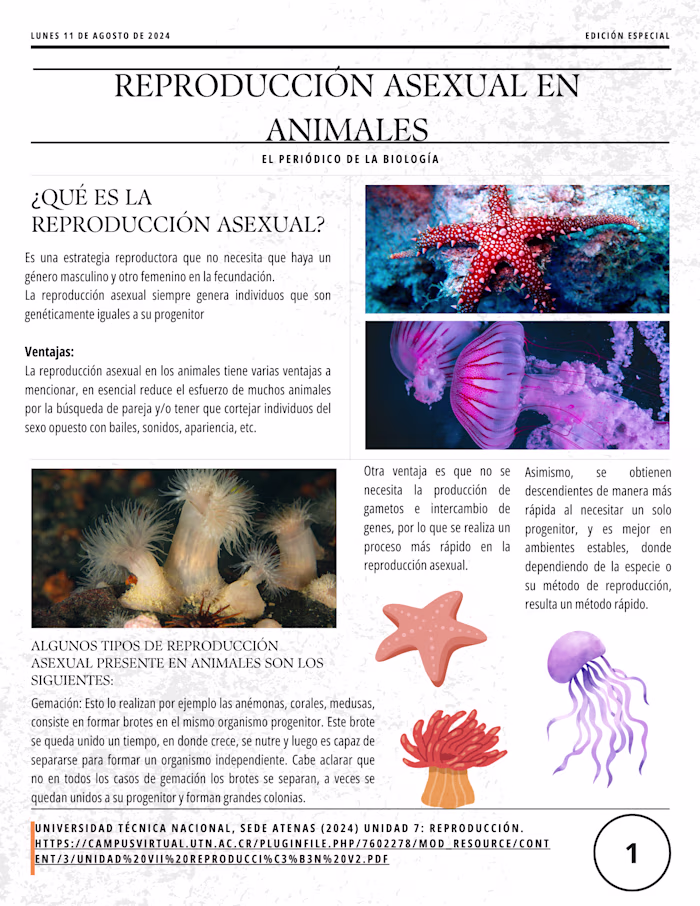 Infographics